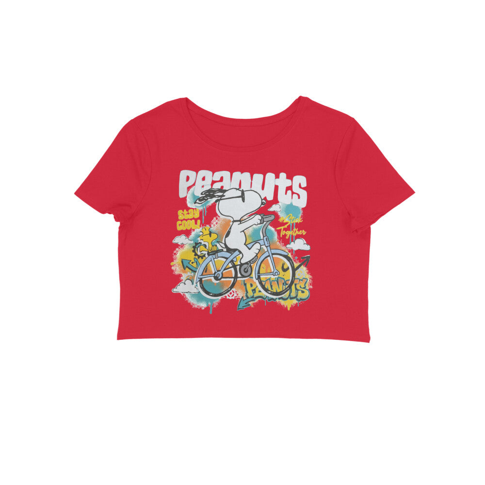 Front View - 5749216